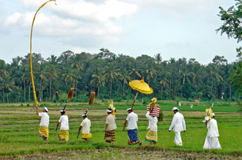 Bali Tempel Zeremonie am Land