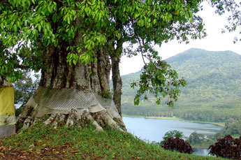 Blick auf den Buyan Kratersee in Zentral-Bali