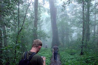 Wanderung durch den Bali Regenwald