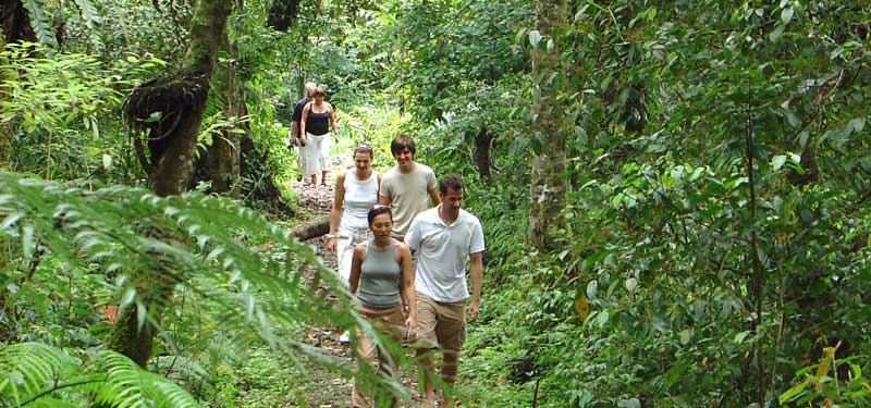 Regenwaldwanderung auf Bali