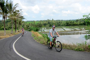 Fahradtour entlang Reisfeldern