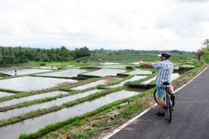 Fahrrad Tour in die Reisfelder 