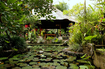 Villa Kompiang Bali - Garten