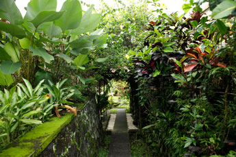 Villa Kompiang Bali - Garten